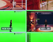 Multiviewer shows different cameras