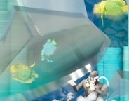 Breaking of the aquarium